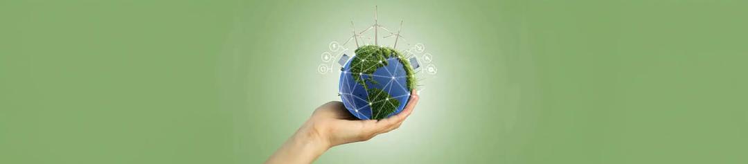 Eco-Friendly Study Abroad