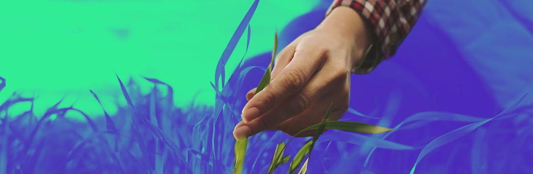 agriculture jobs in australia