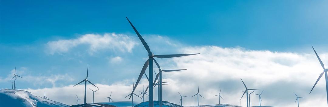 Study in America on Alternative Energy Field