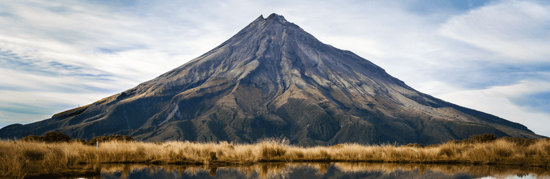 New Zealand PG courses