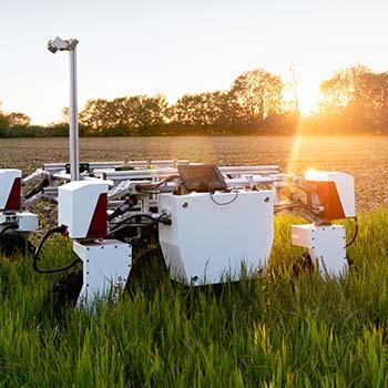 Environmental Engineering: All You Need To Know About Joining A Field That Aims To Save The Planet