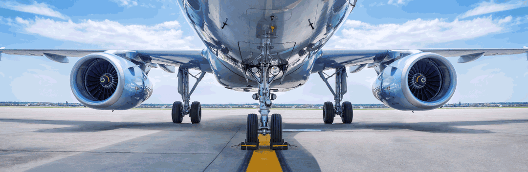 subject Aviation for DSE student is not a dream