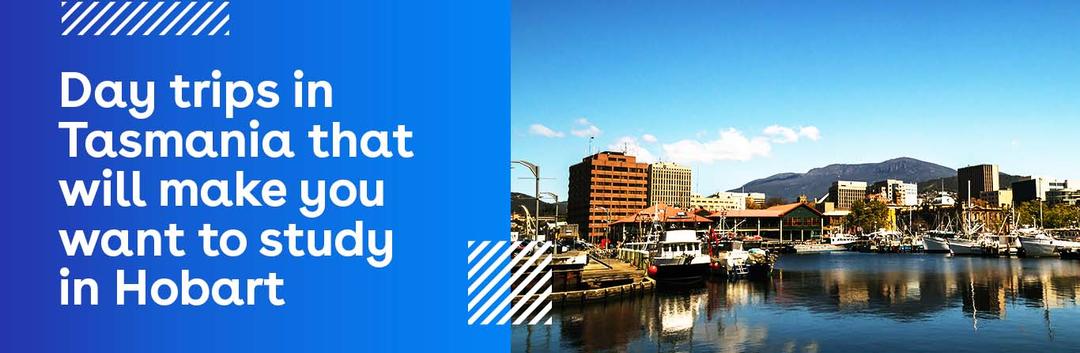 A scenic view of Hobarts waterfront with boats docked in the harbor, city buildings, and mountains in the background. Text on a blue overlay reads: Day trips in Tasmania that will make you want to study in Hobart.