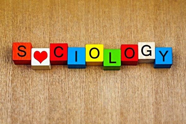 explore sociology