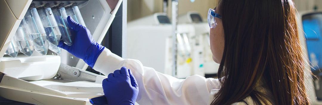 Pursuing a degree in biological and life sciences abroad: what you must know