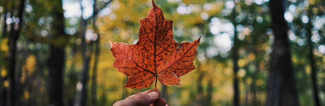 Best Hiking Trails you should try in Canada - SG