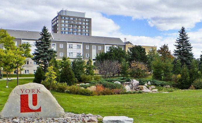 York University