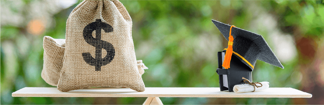 A bag with money symbol.